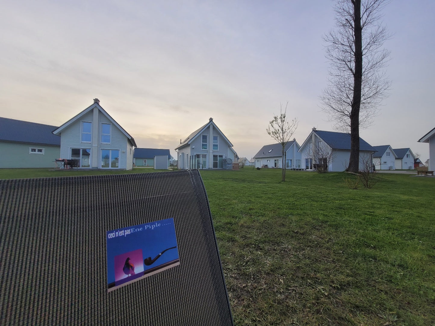 Ene Piple (10 Stück)