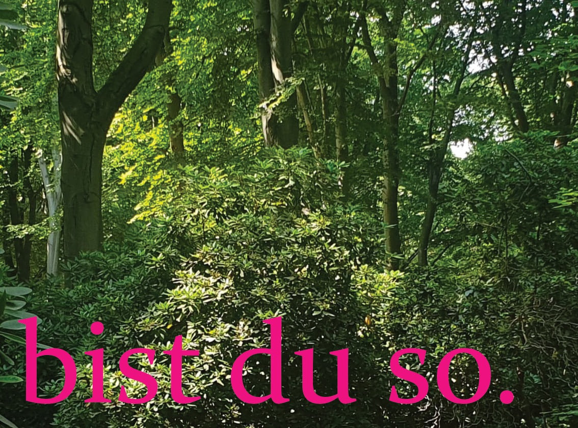 bist du so. Wald (10 Stück)