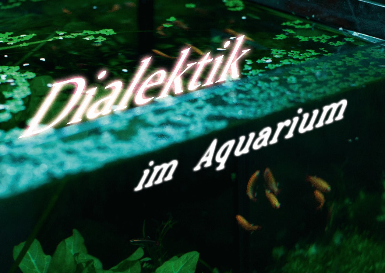 Dialektik im Aquarium (10 Stück)