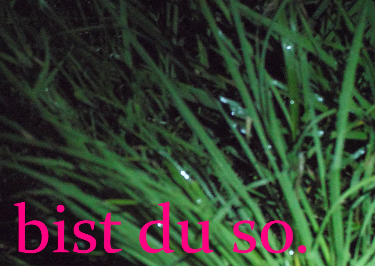 bist du so. Wiese (10 Stück)